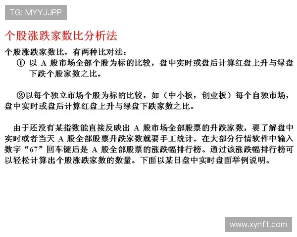 北京羽毛球队在杯赛中的状态分析与表现评估